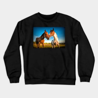 Companions#2 Crewneck Sweatshirt